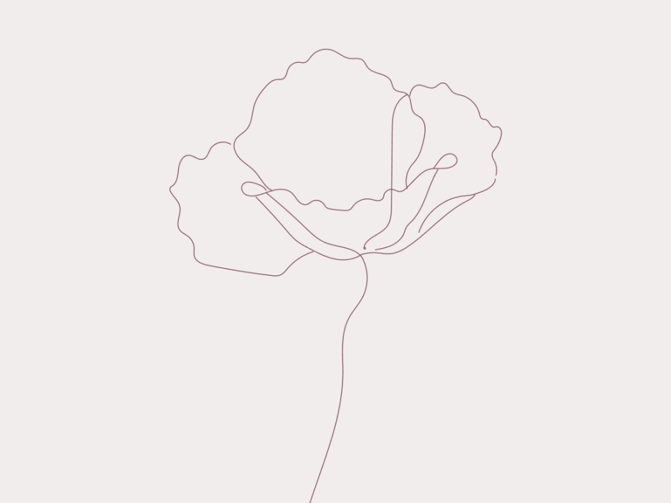 Celine klaproos illustratie